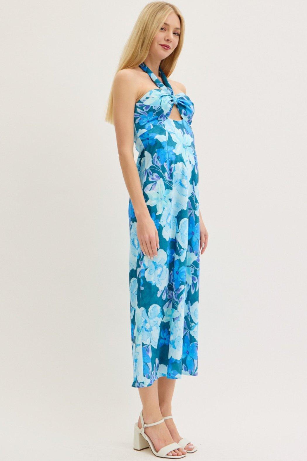 Blue Nile Maxi Dress Product Image