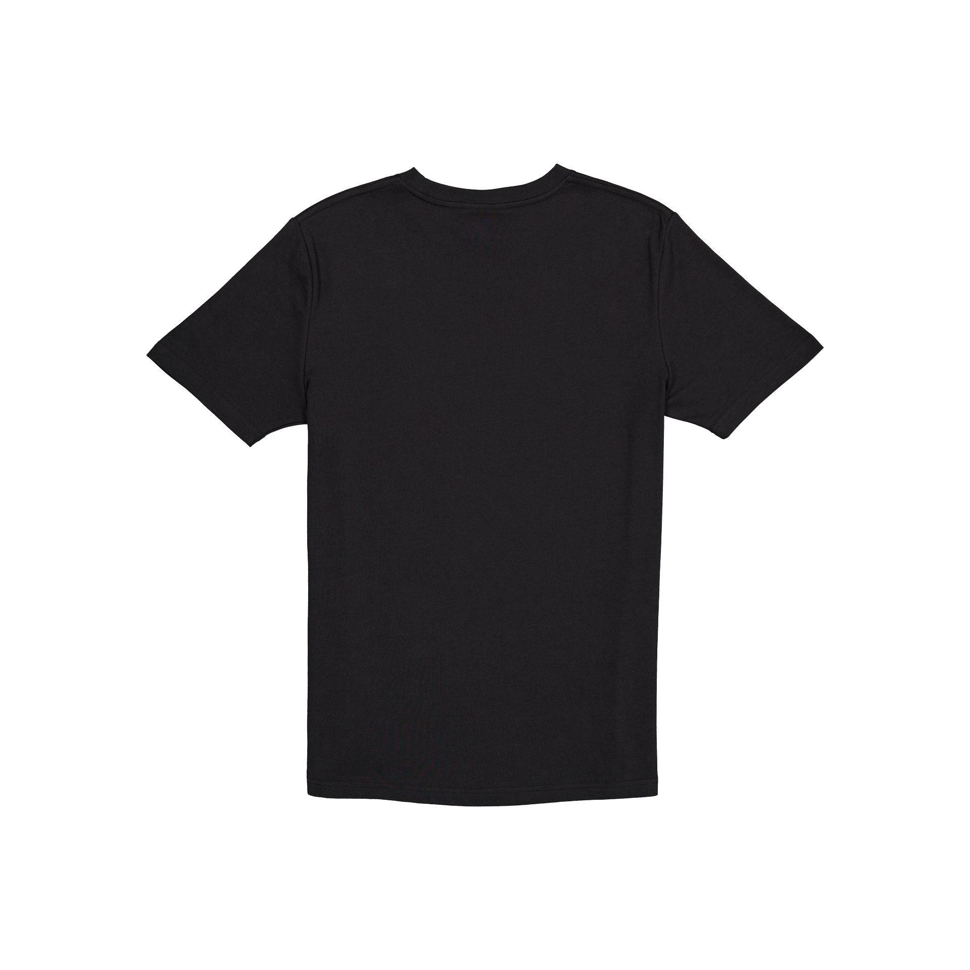 Boston Celtics 2024 NBA Champions Edition T-Shirt Male Product Image