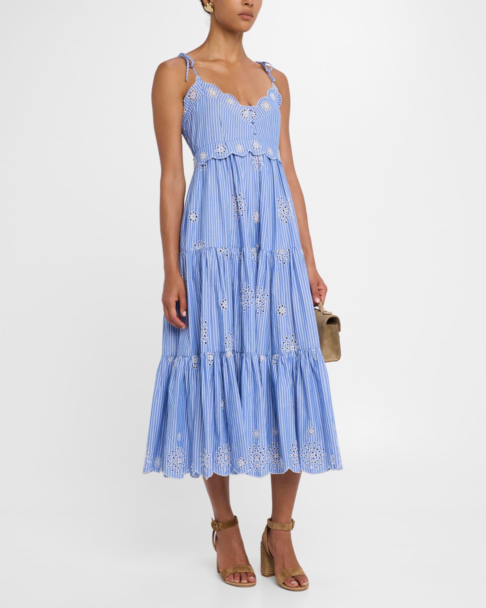 Darcey Pinstripe Embroidered Sleeveless Midi Dress Product Image