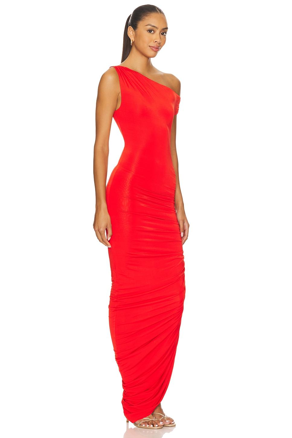 Elise Maxi Dress Lovers and Friends Product Image