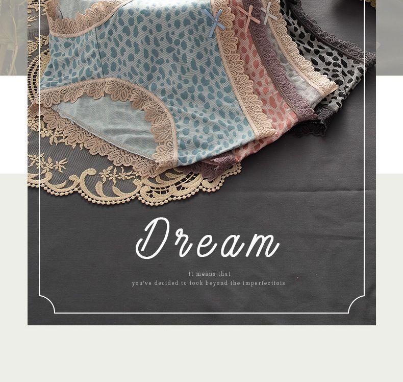 Lace Trim Leopard Print Panties Product Image