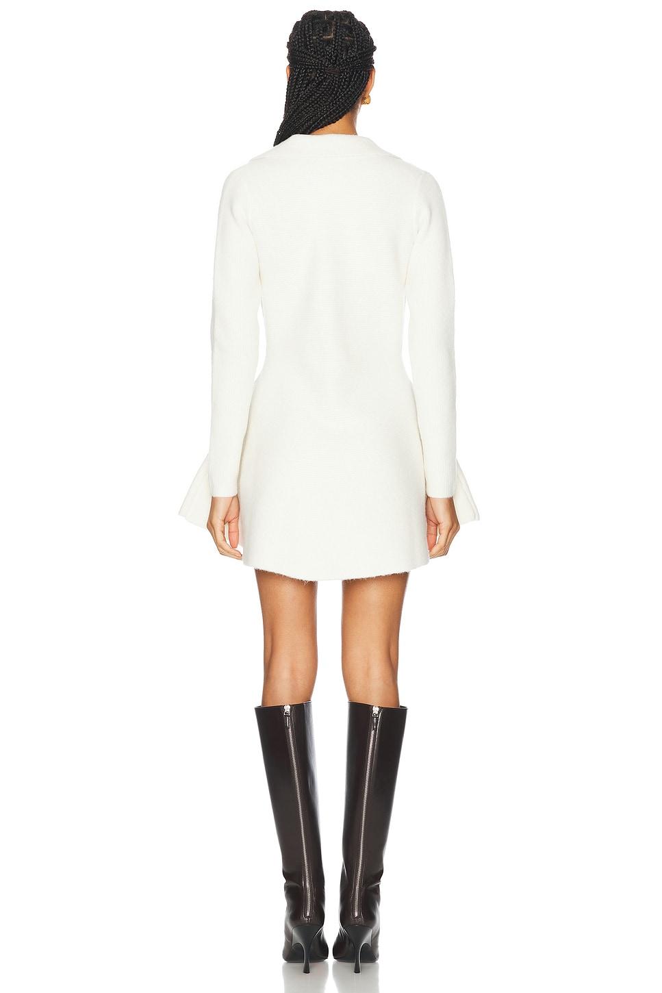 Clara Knit Mini Dress Product Image