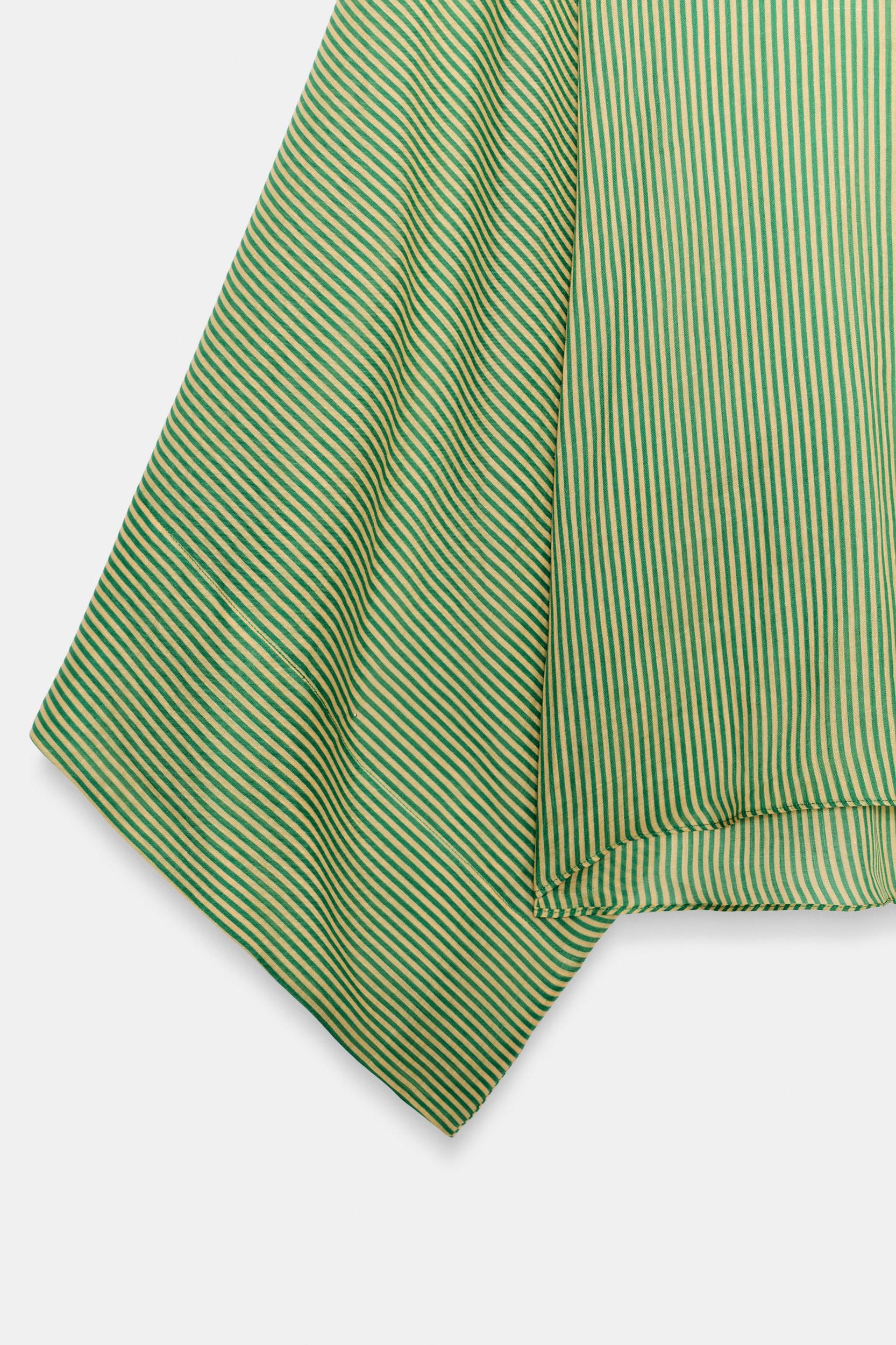RAMIE STRIPED SHIRT ZW COLLECTION Product Image