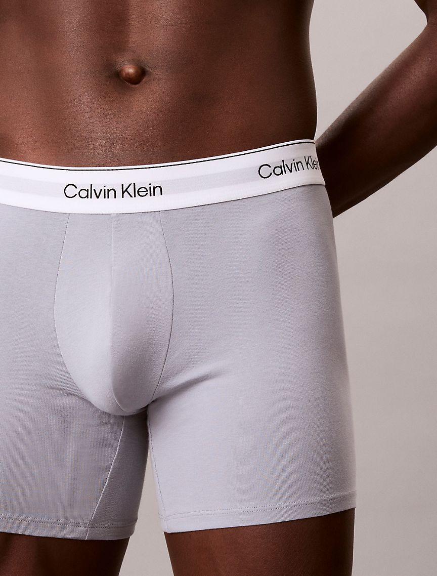 Icon Cotton Stretch 3-Pack Boxer Brief Product Image