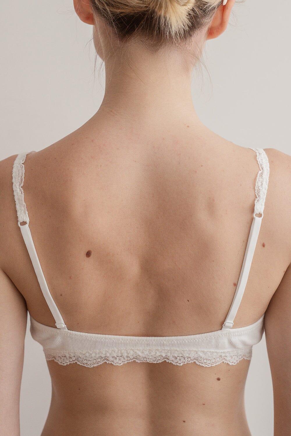 Lace Bra Product Image