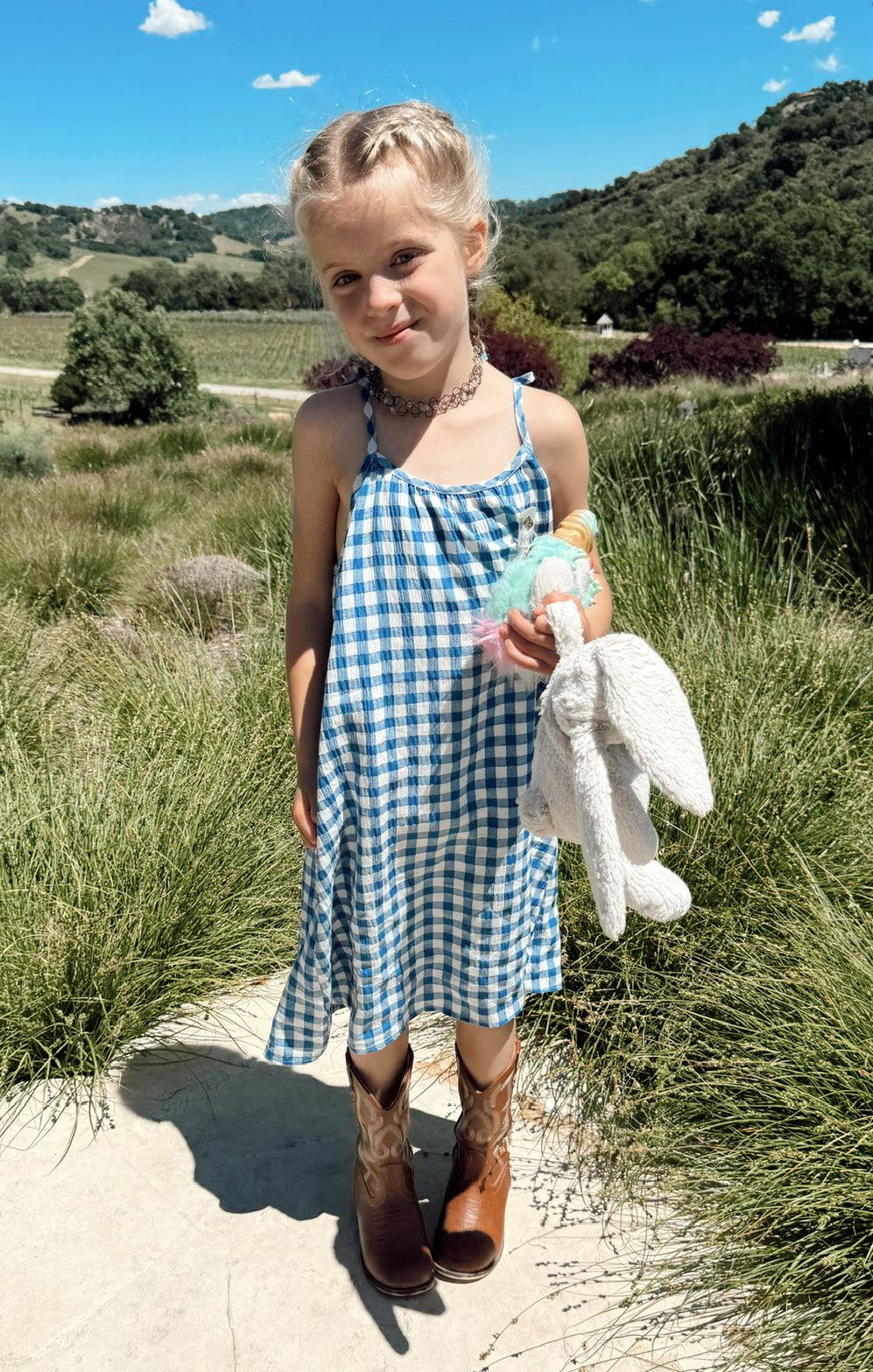 Sidekick Dress ~ Blue Bounty Gingham Kids Product Image