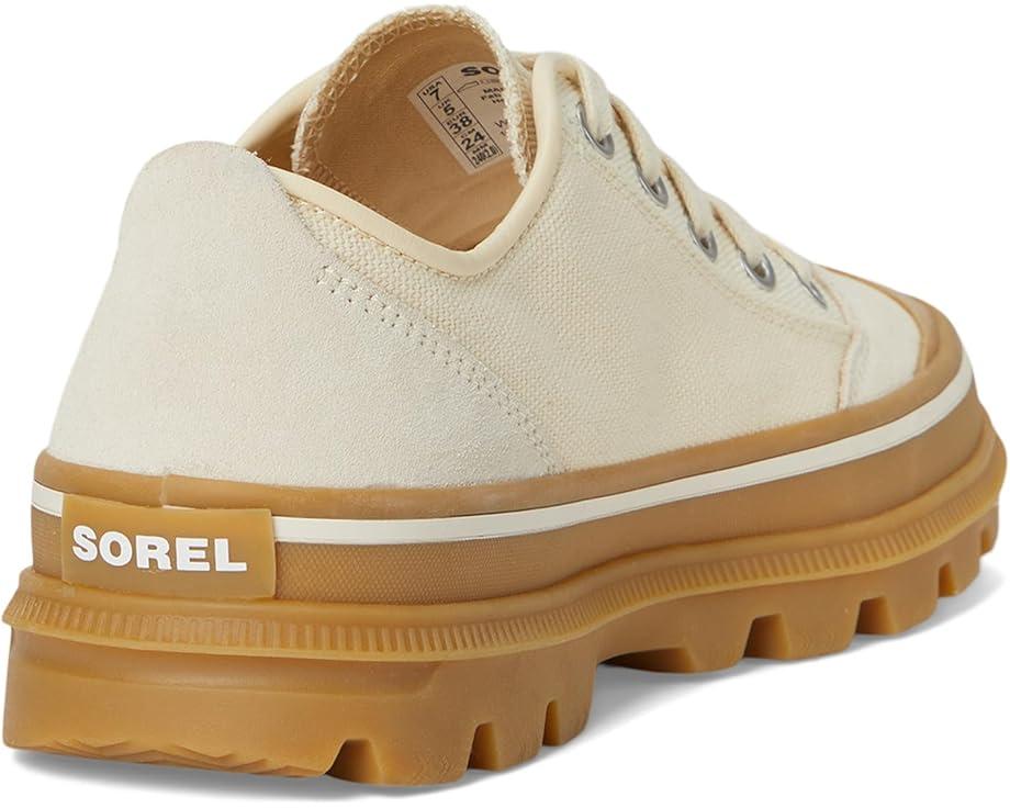 ONA™ AVE Low Sneaker Product Image