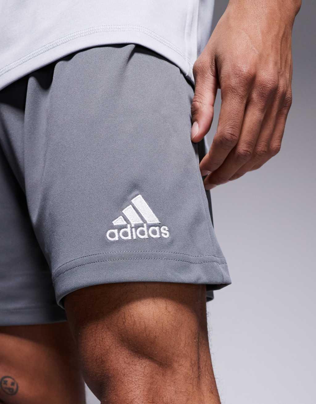adidas Performance Entrada 22 shorts in gray Product Image