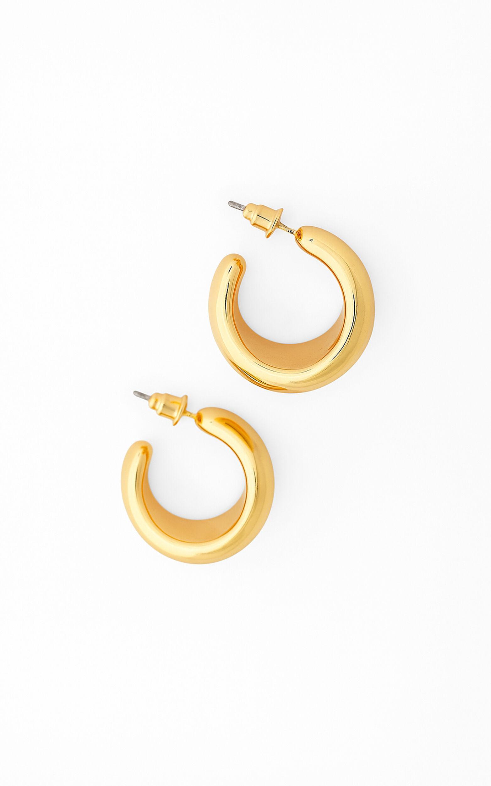 Thia Earrings in Gold Product Image