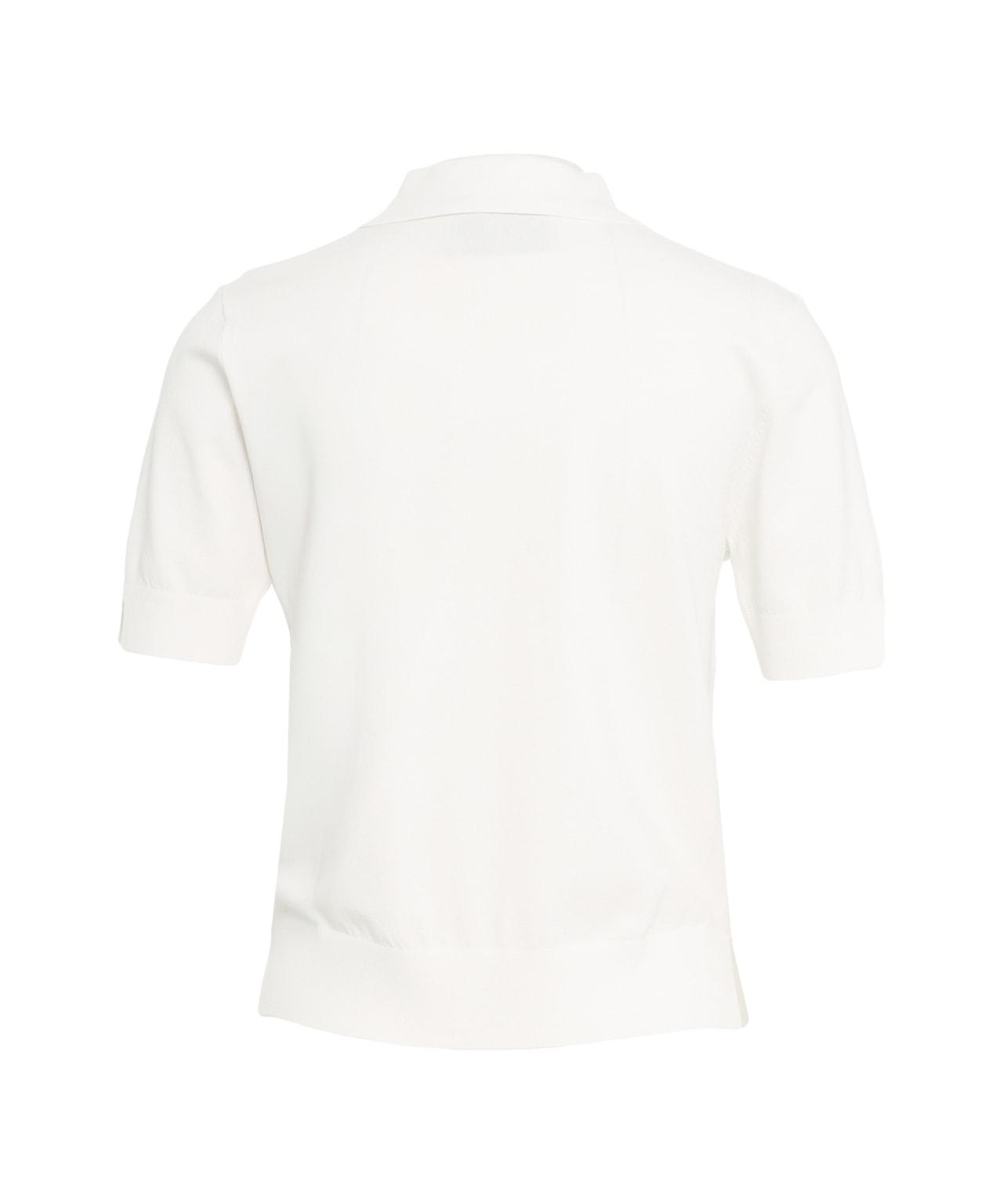 Viscose polo shirt Product Image