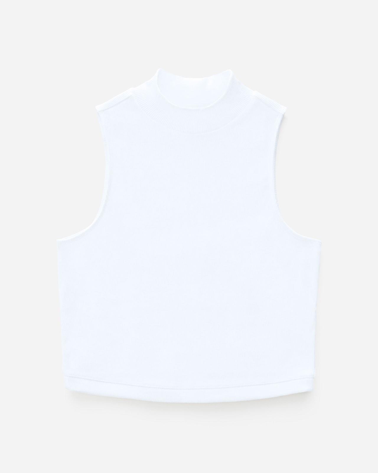 Womens Ribbed Mockneck Tank Sweater by Everlane Product Image