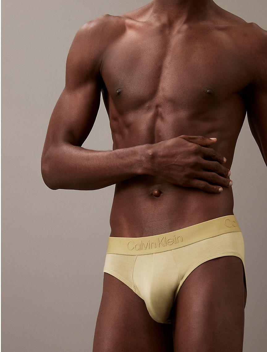 Ultra Soft Modal Hip Brief Product Image