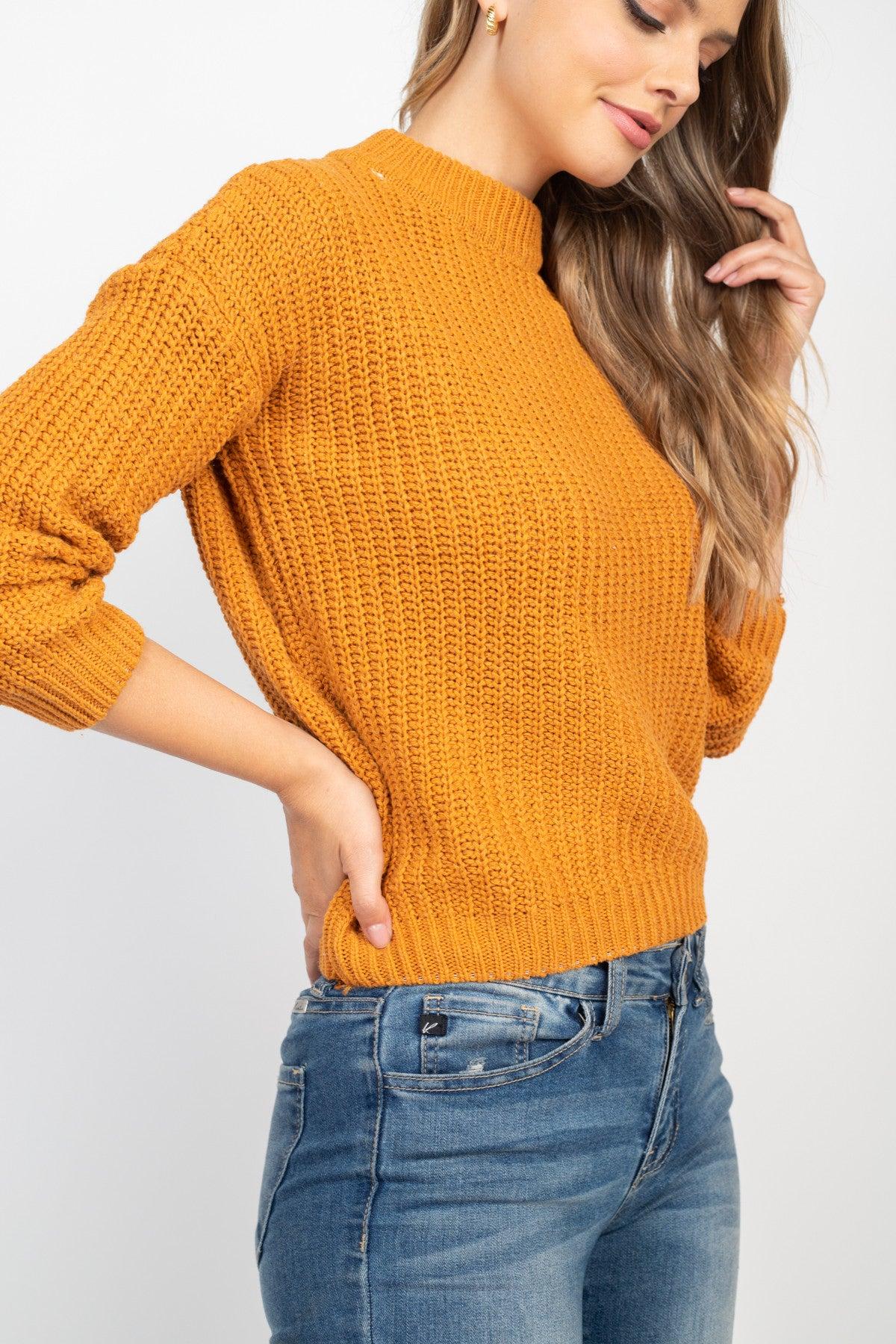 Camel Knit Sweater Top Product Image