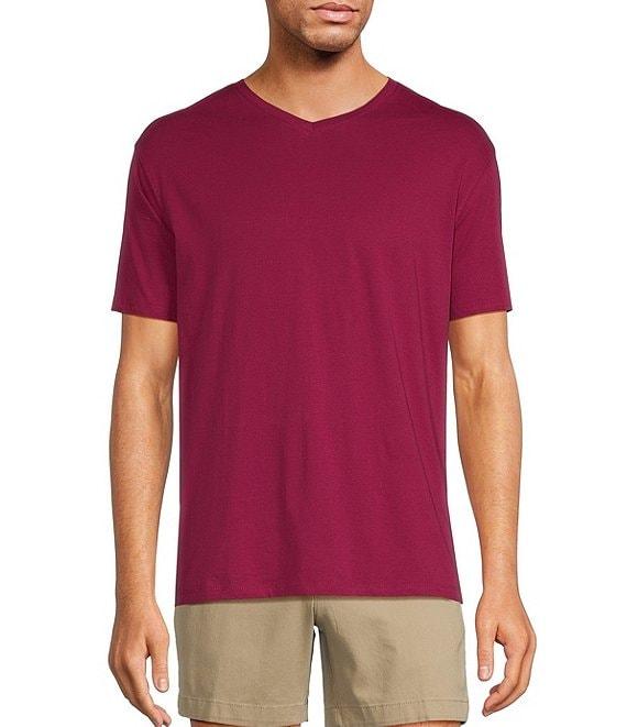 Roundtree & Yorke Solid Cloud Short Sleeve V-Neck T-Shirt Product Image