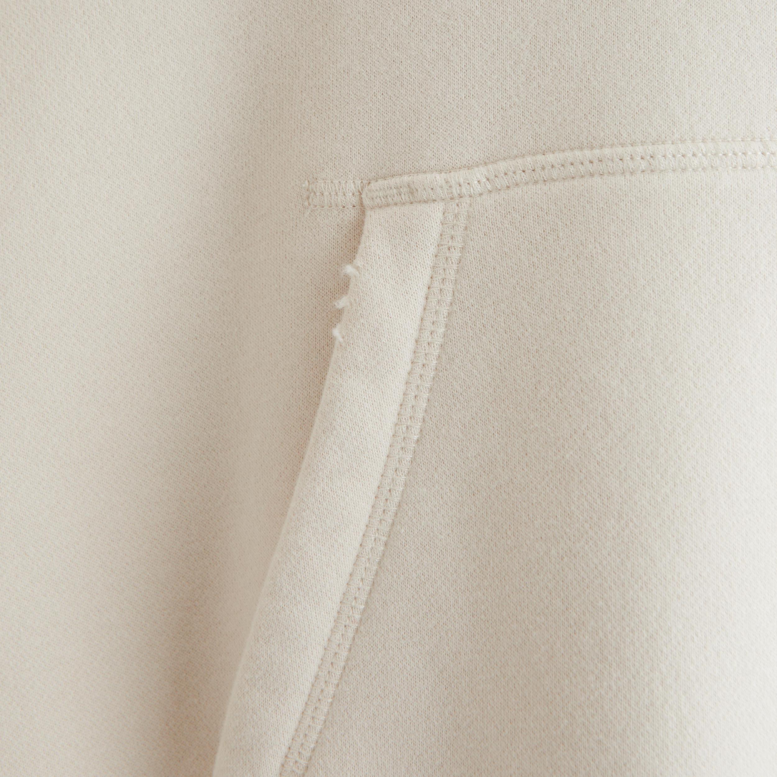 Sequoia Cropped Graphic Popover Hoodie Product Image