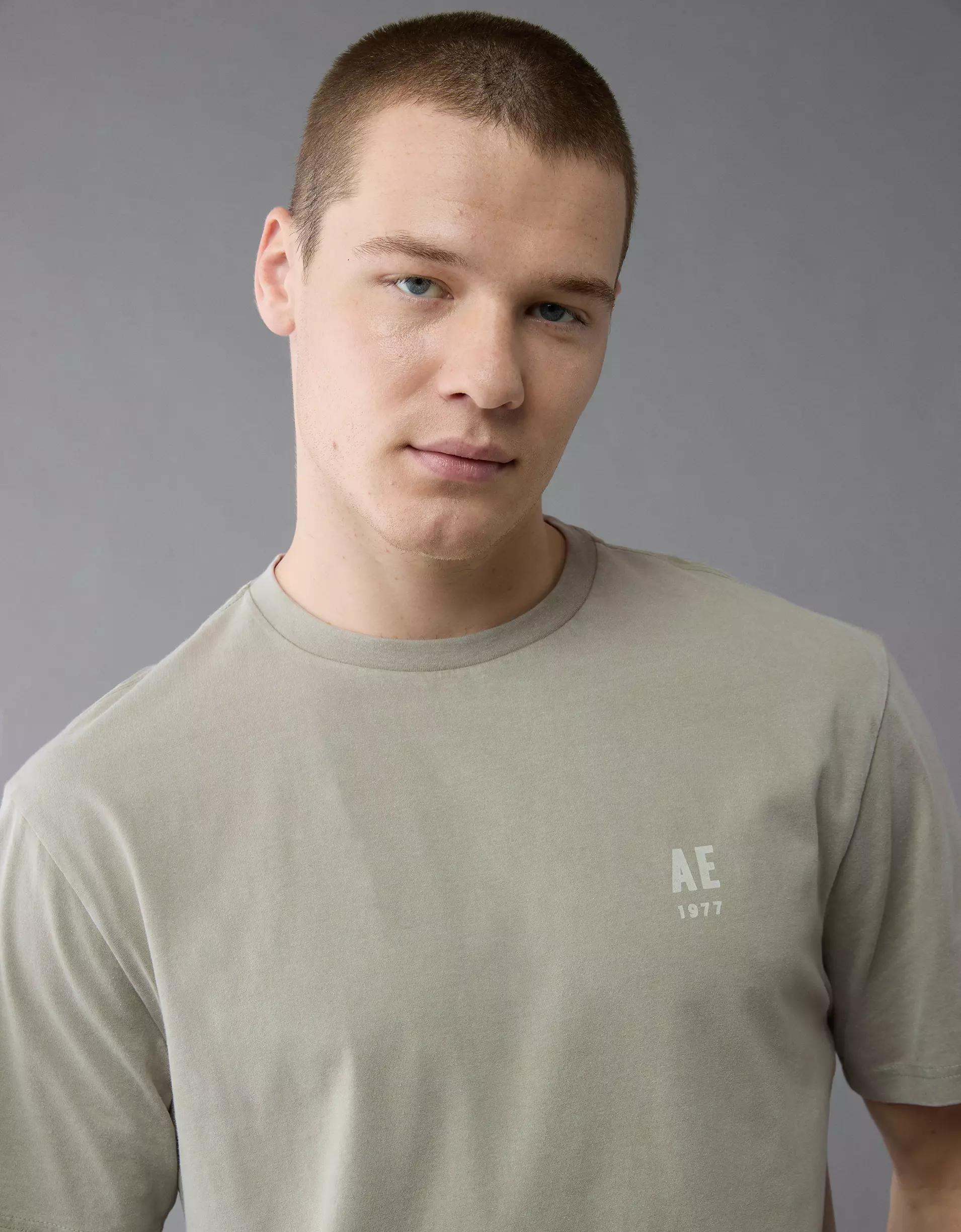 AE Logo Graphic T-Shirt Product Image