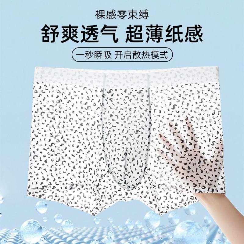 Pattern Boxer Brief / Set Product Image