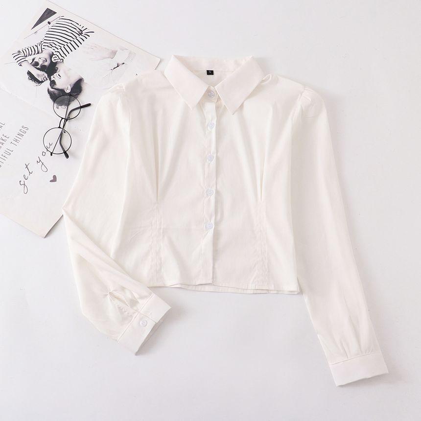 Collared Plain Shirt / High Rise Plain Mini Pencil Skirt / Neck Tie / Sheer Tights (Various Designs) Product Image