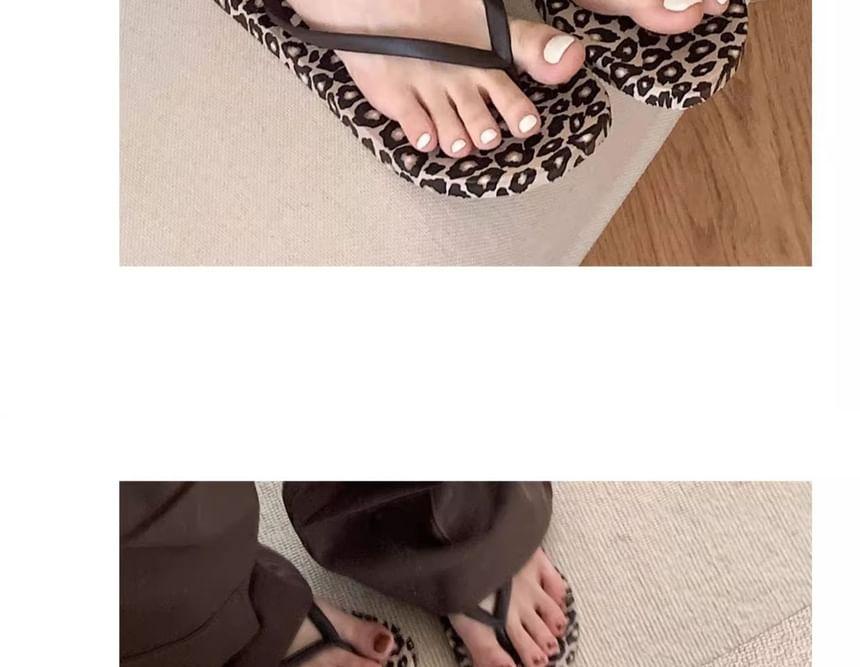 Leopard Print Flip-Flops Product Image