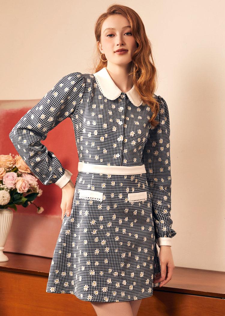 Joyful Journey Dress Product Image