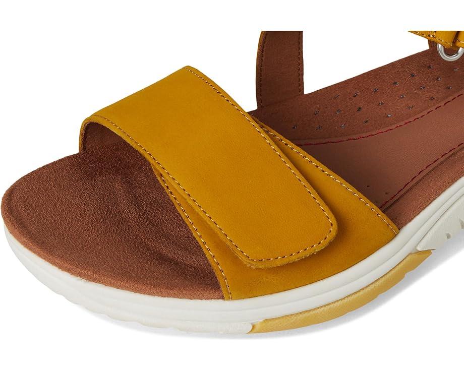 Cobb Hill Product Image