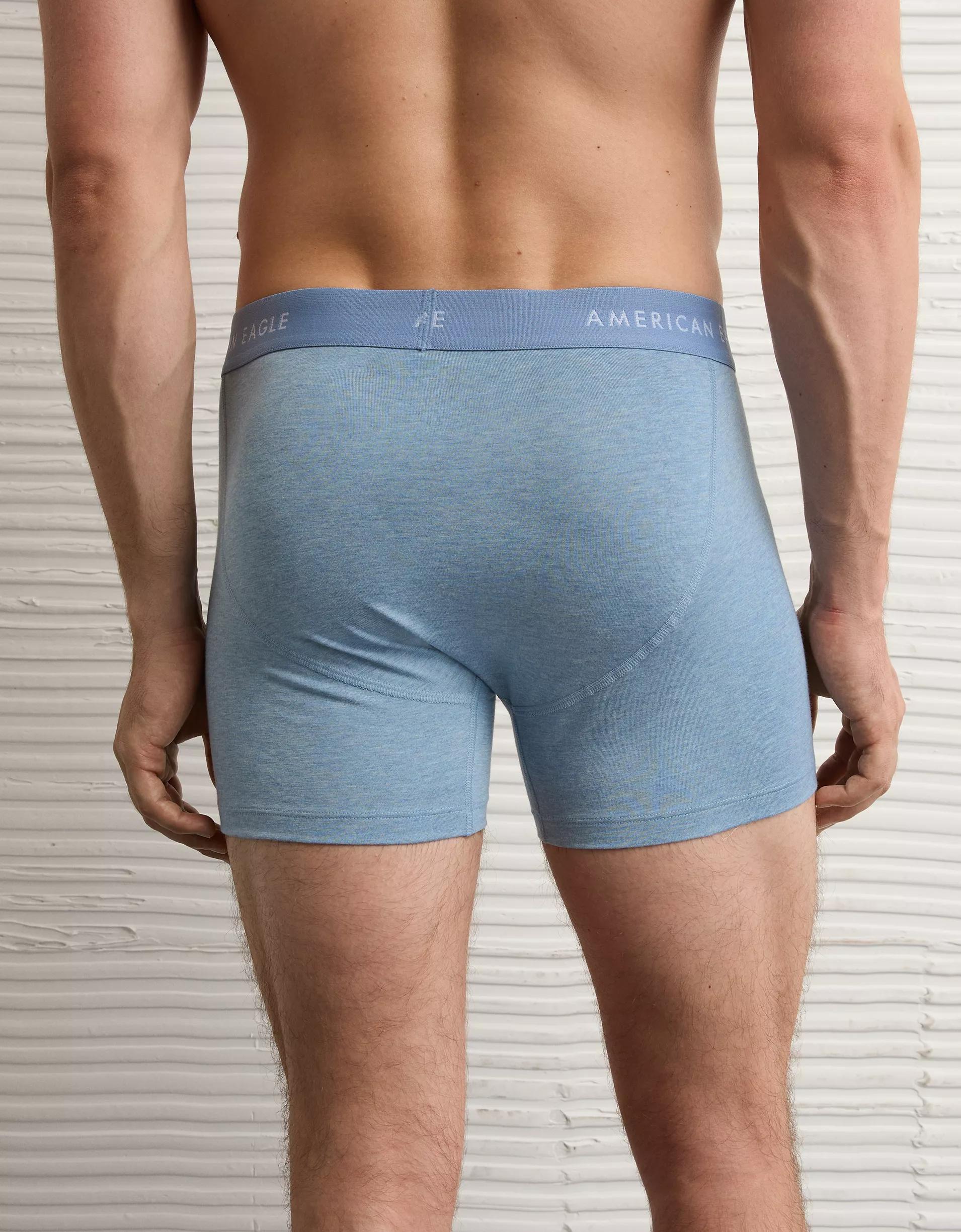 AEO Men's 4.5" Classic Boxer Brief Product Image