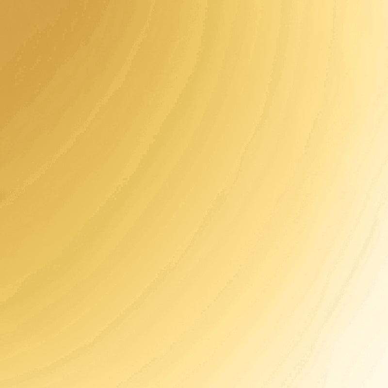 Butterfly Charm Layered Chain Necklace and Earrings Male Product Image