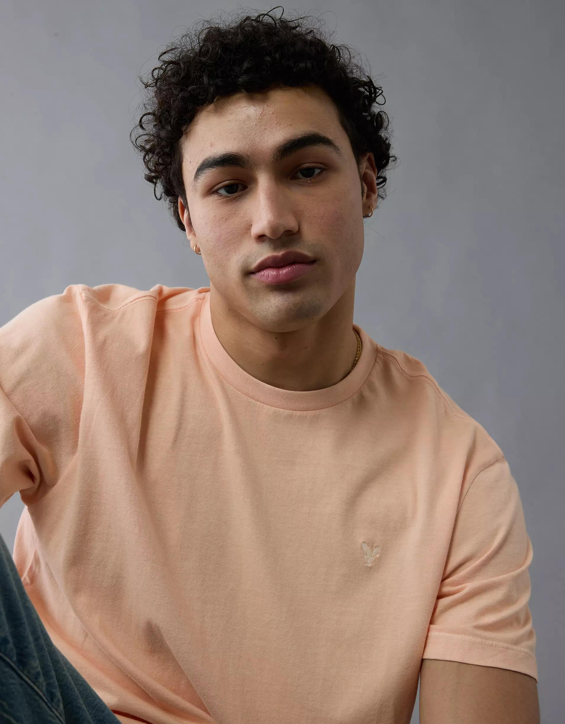 AE Lived-In T-Shirt Product Image