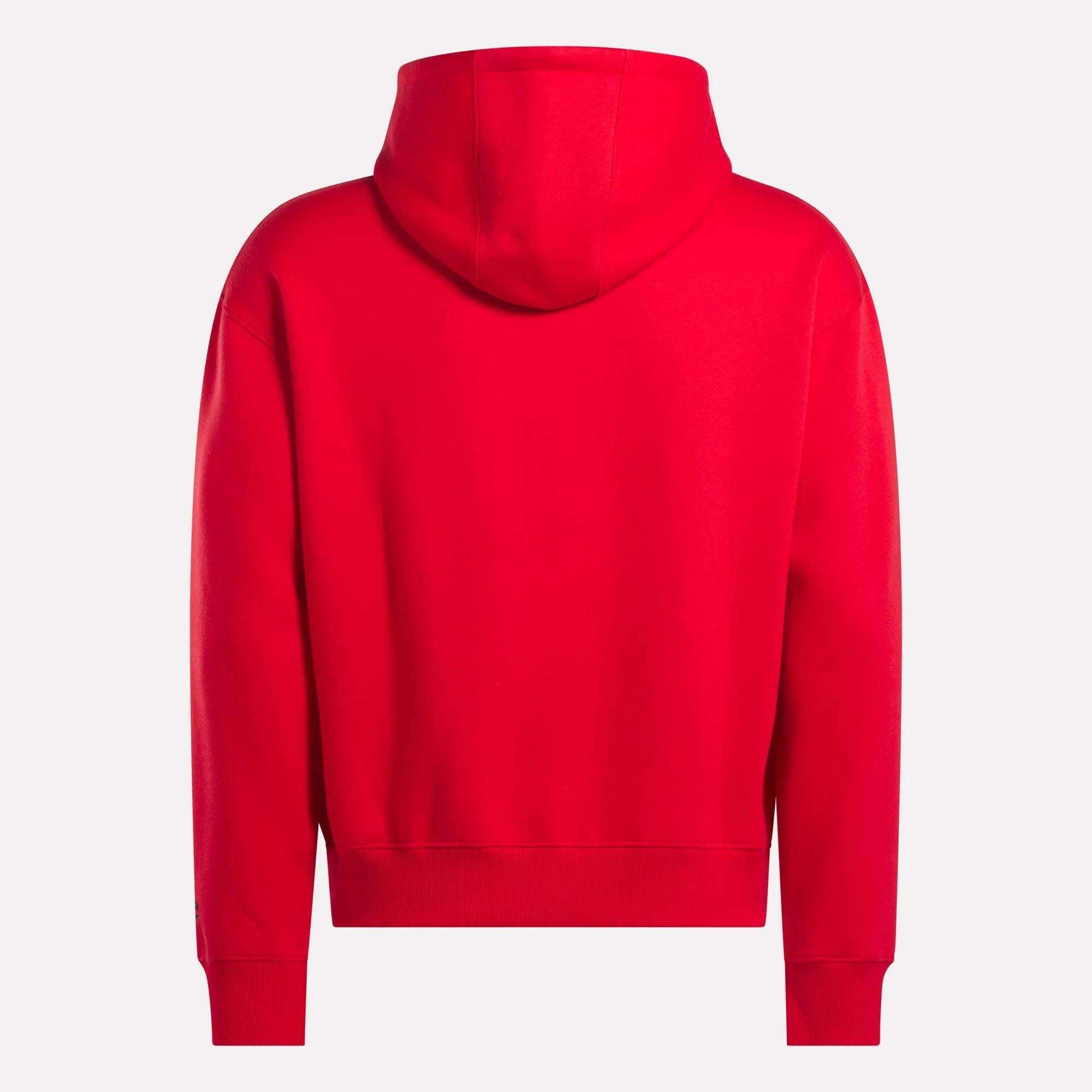 Men's Hoodie Product Image