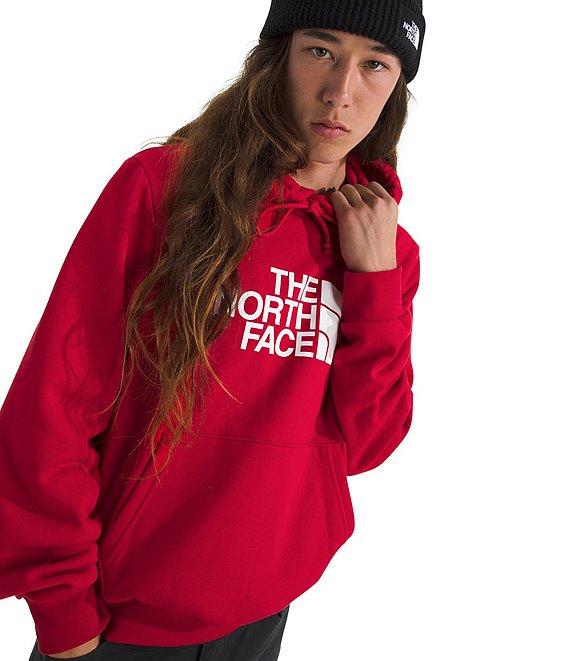 The North Face Evolution Half Dome Fleece Hoodie Product Image