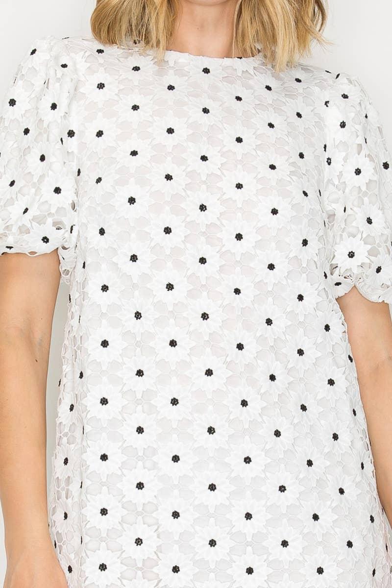 Daisy Polka Dot Lace Mini Dress Product Image