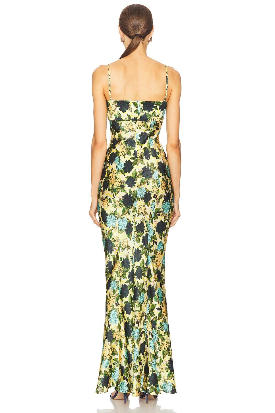 Renee Long Dress SALONI Product Image