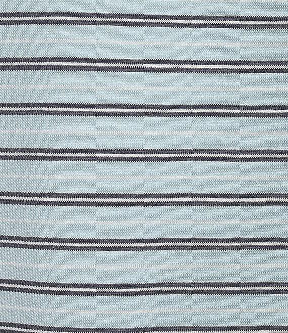 Cremieux Blue Label Stripe Short Sleeve Polo Shirt Product Image