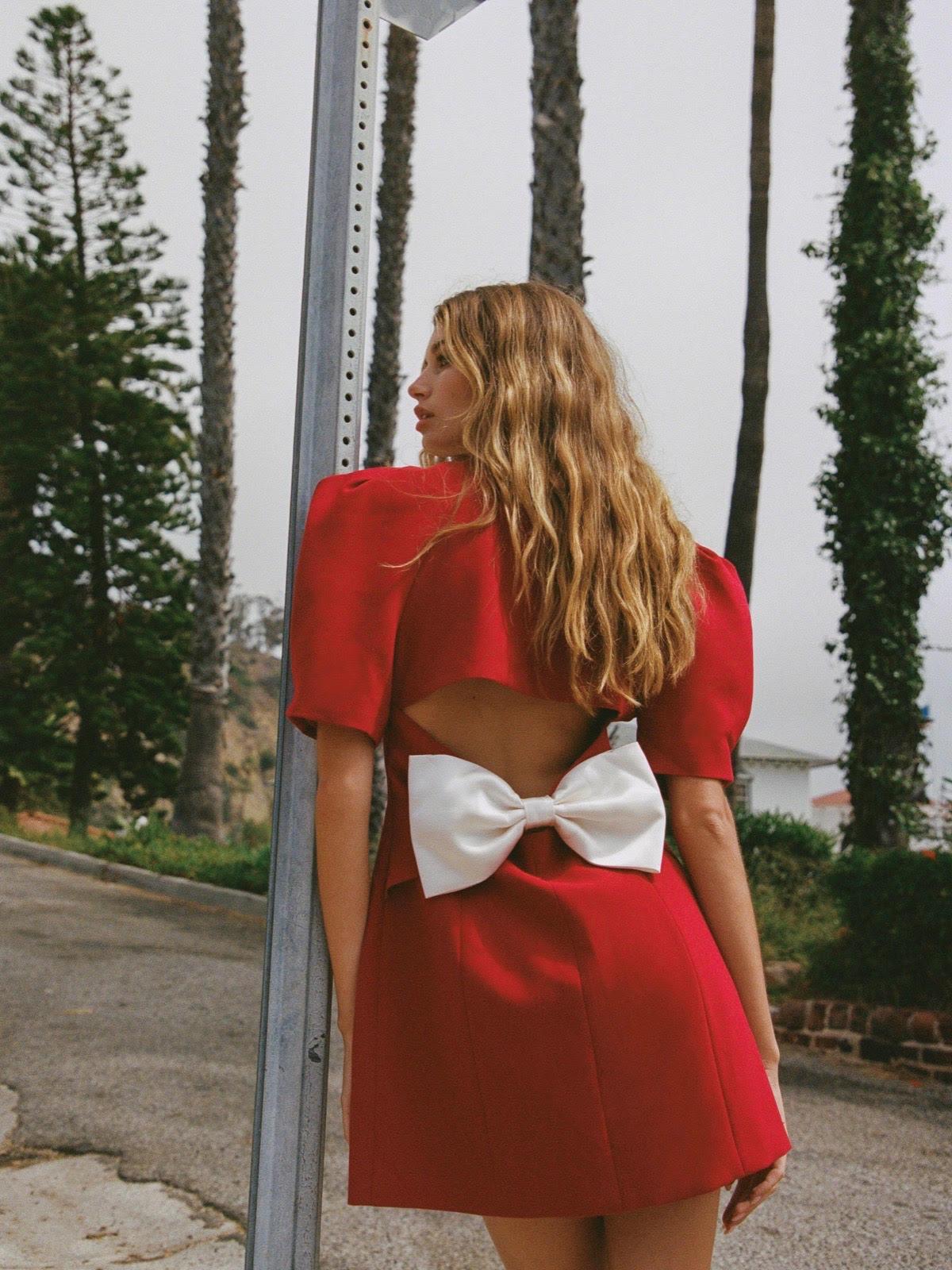 Alia Dress (Red) (Final Sale) Product Image