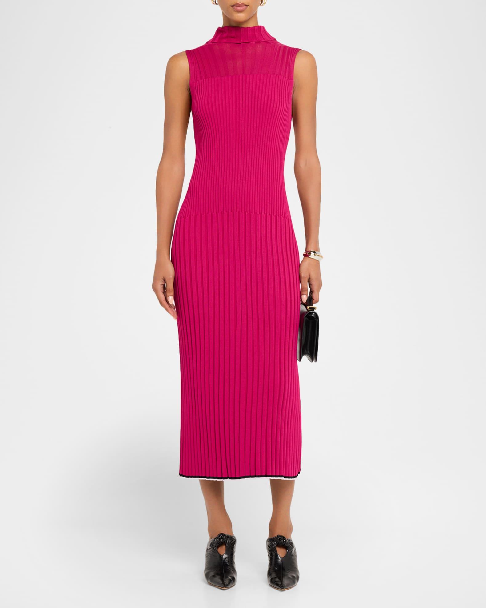 Maia Ribbed Turtleneck Dress Product Image