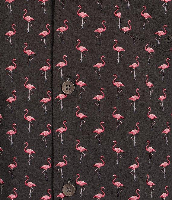 Caribbean Big & Tall Mini Flamingo Cabana Woven Top Product Image