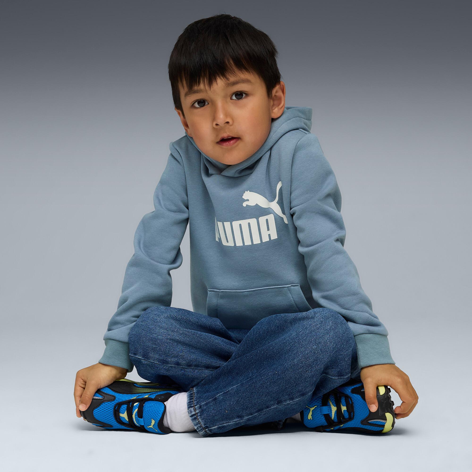 PUMA Essentials No. 1 Logo Little Kids' Fleece Hoodie Product Image