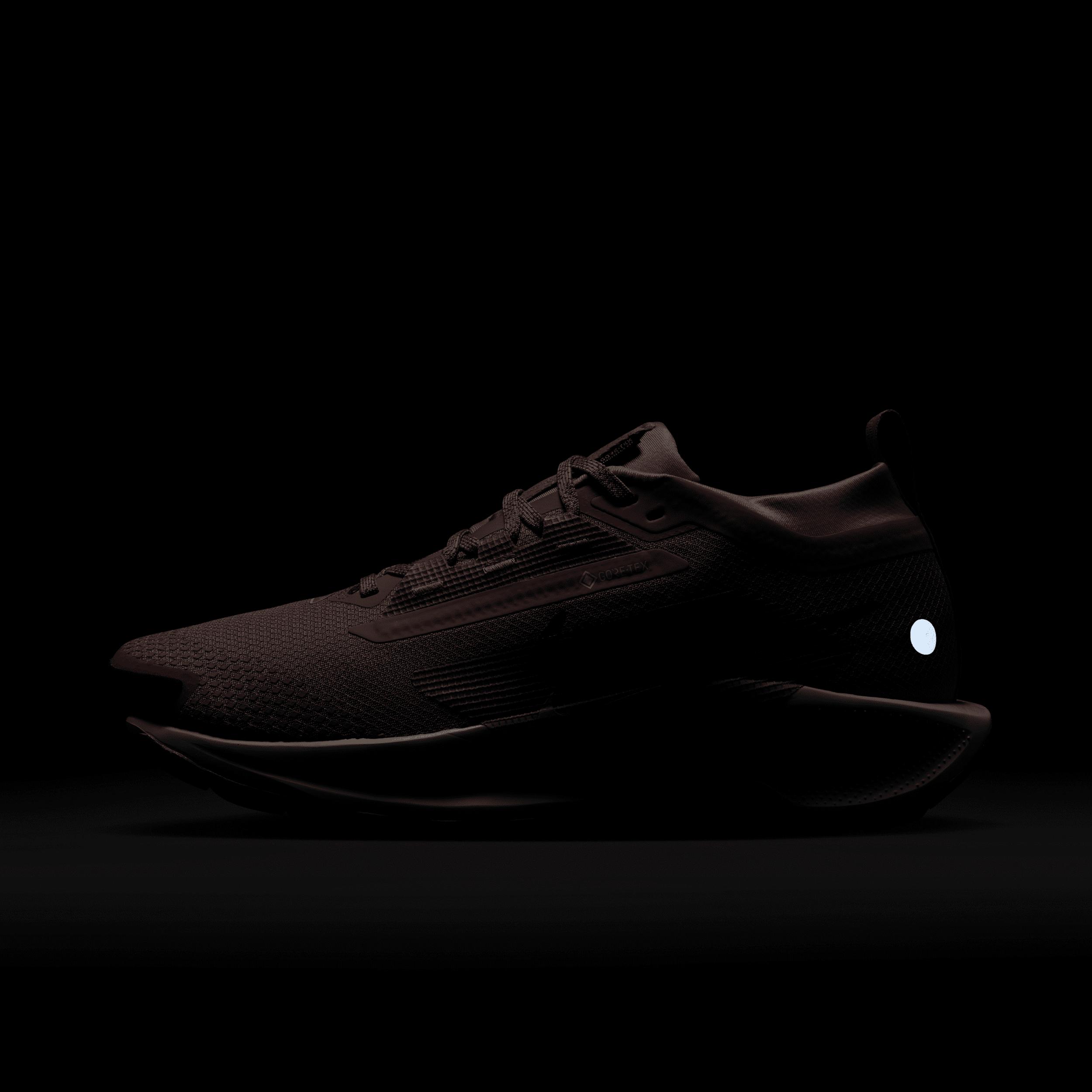 Nike Womens Pegasus Trail 5 GORE-TEX Waterproof Trail Running Shoes | FQ0912-602 Product Image