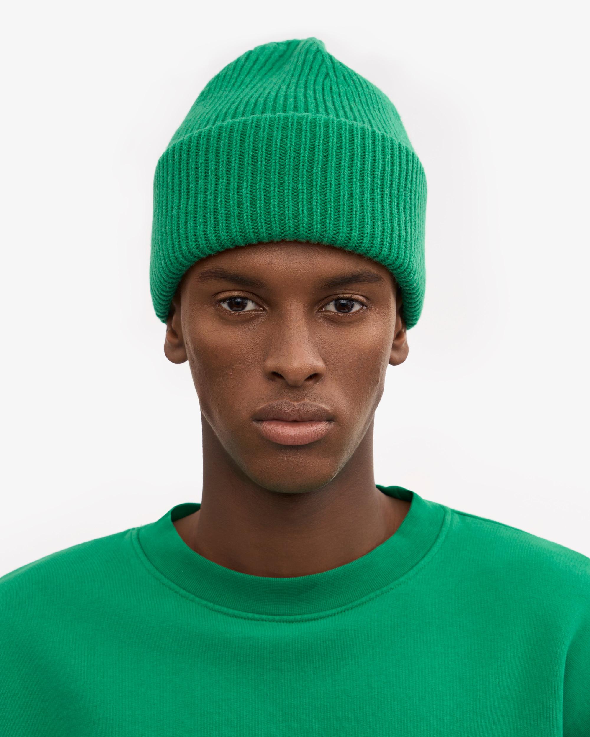 Merino Wool Hat - Kelly Green Product Image