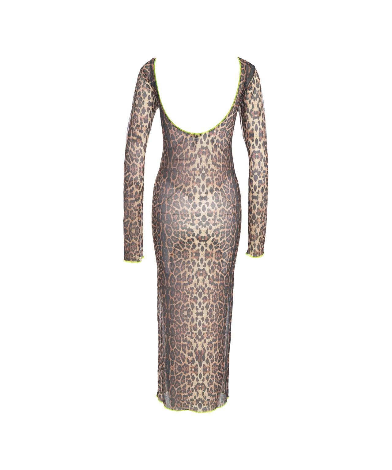 Tulle maxi dress with animal print Product Image