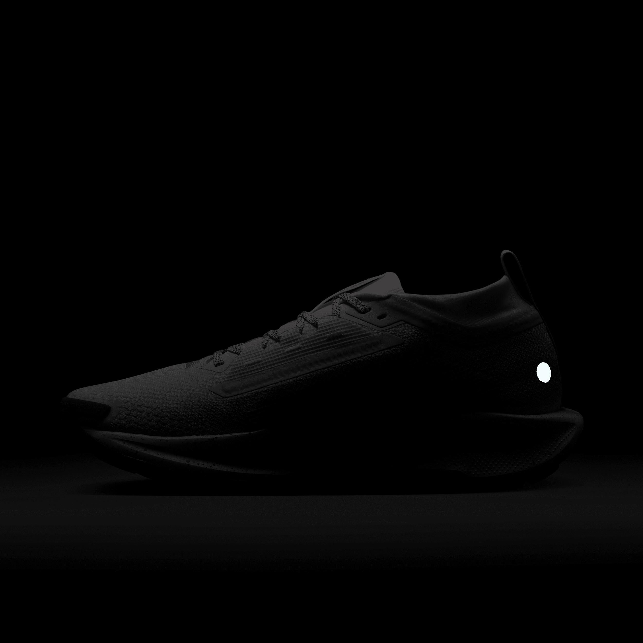 Nike Mens Pegasus Trail 5 GORE-TEX Waterproof Trail Running Shoes | FQ0908-009 Product Image