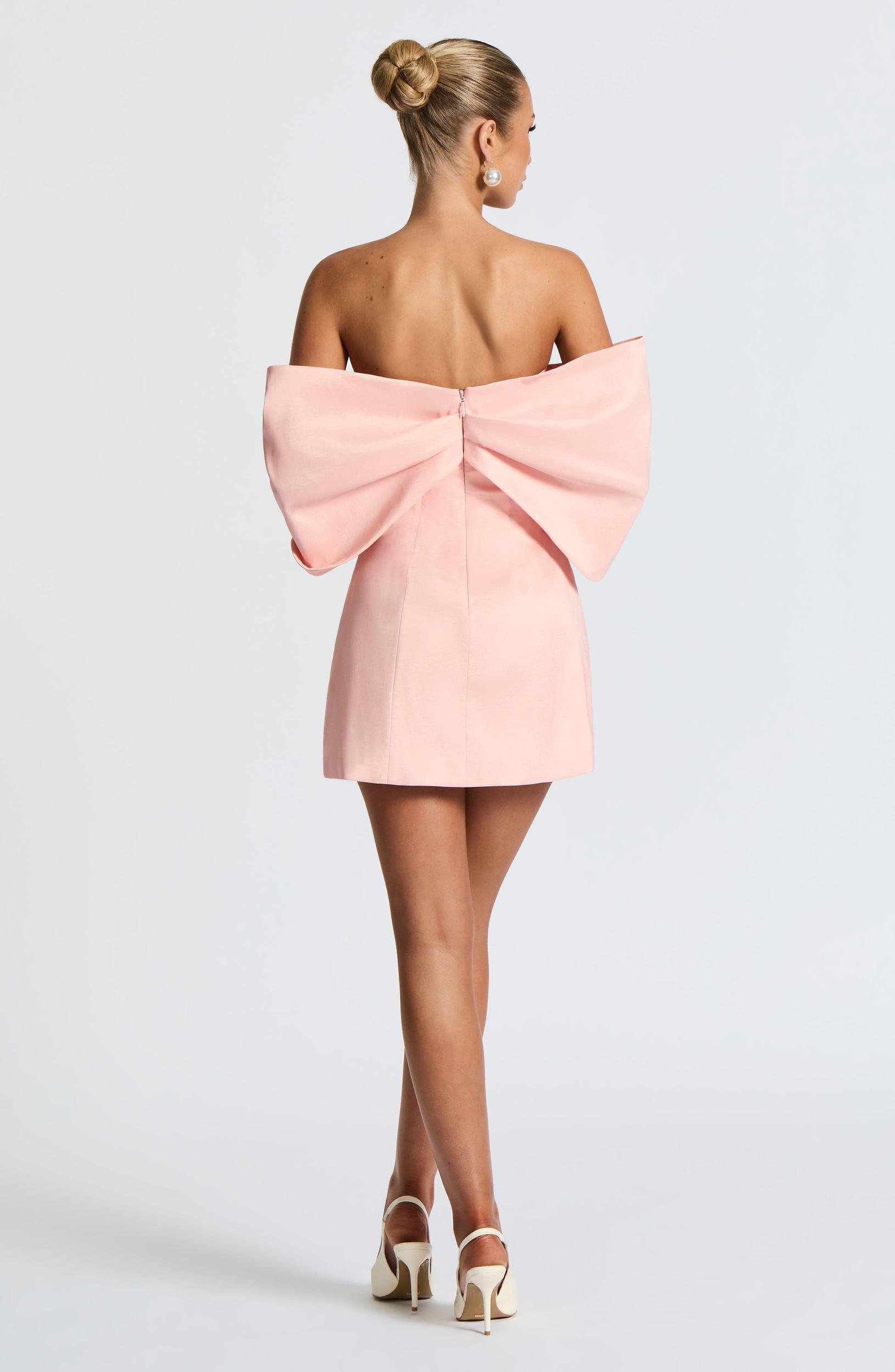 Briella Mini Dress - Blush Product Image
