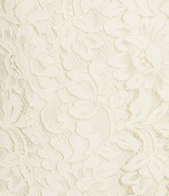 Vince Camuto Crew Neck 3/4 Sleeve Lace Illusion Shift Dress Product Image