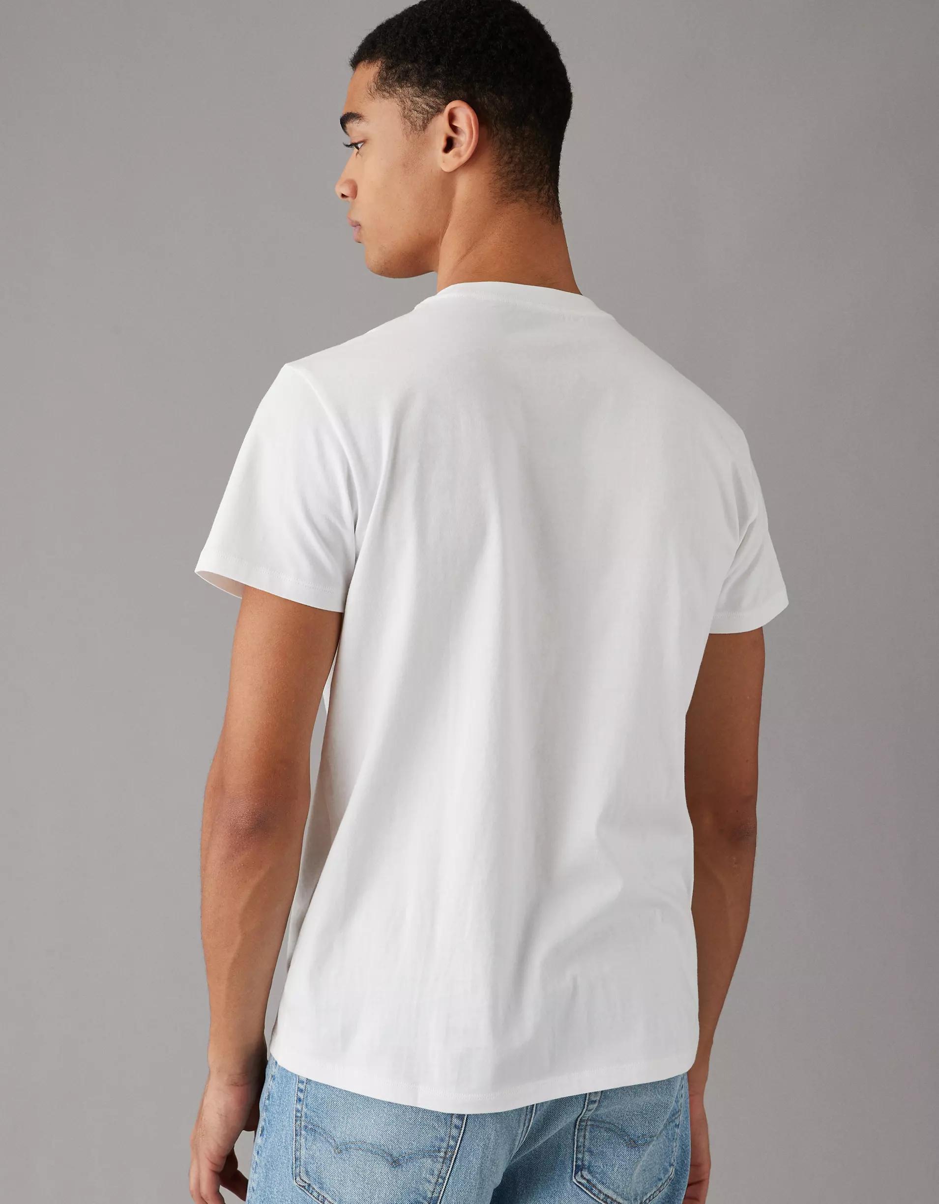 AE Lived-In Slim T-Shirt Product Image