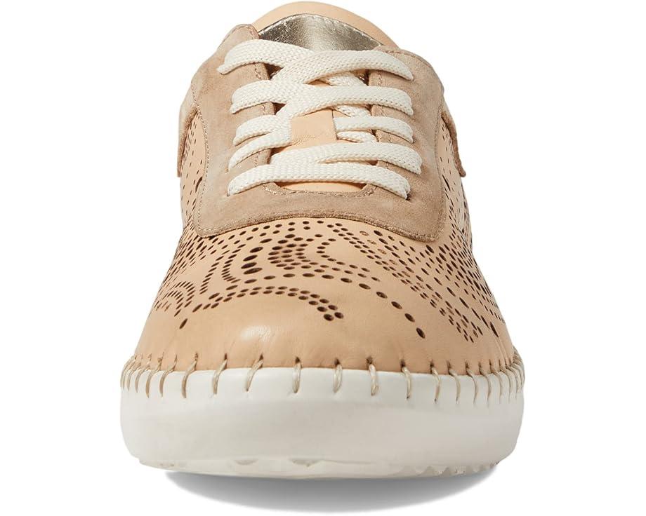 Picasa Product Image