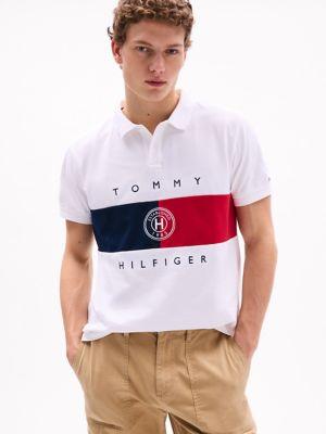 Regular Fit Flag Stripe Polo Product Image
