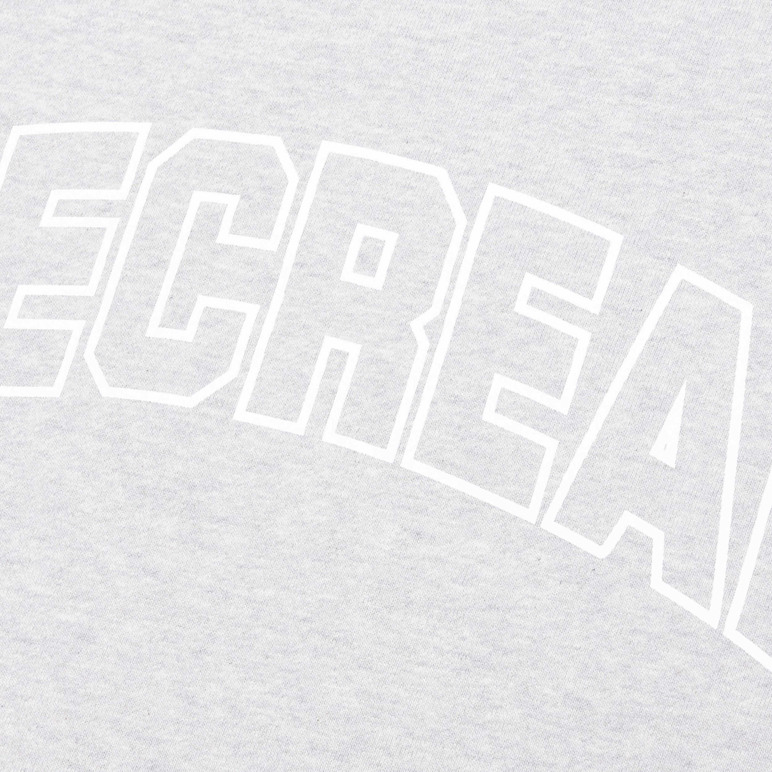 College Sweatshirt - Heather Gray Male Product Image